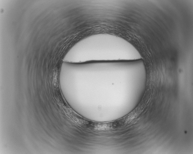 X0000058820177200509300925