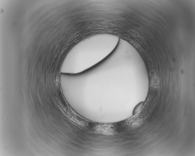 X0000058820179200509300925