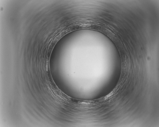 X0000058820180200509300925