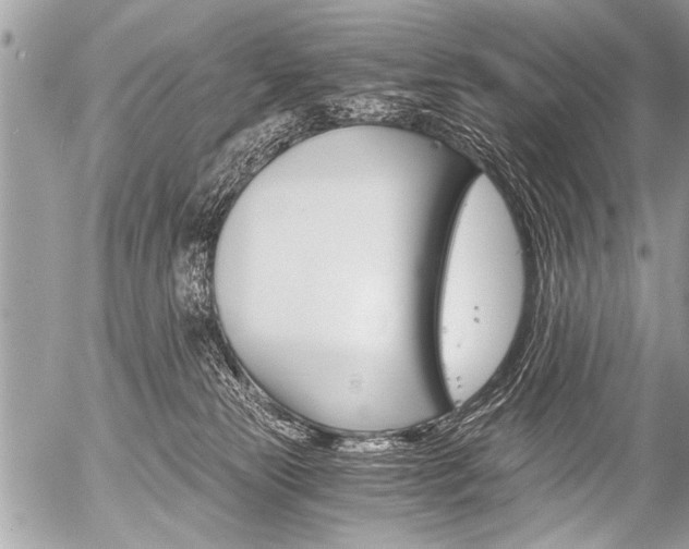 X0000058820181200509300925