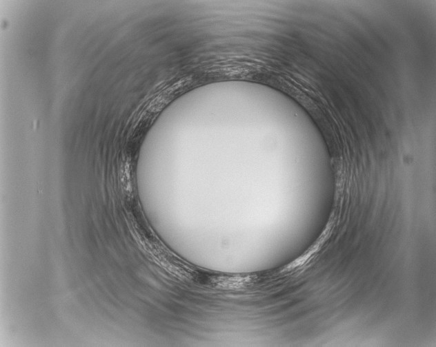 X0000058820182200509300925