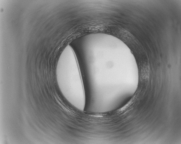 X0000058820183200509300925