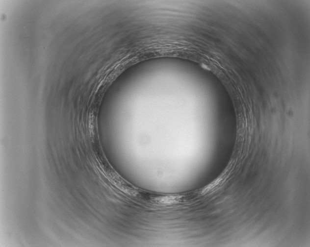 X0000058820184200509300925