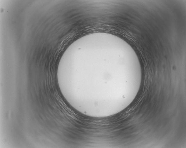 X0000058820185200509300925