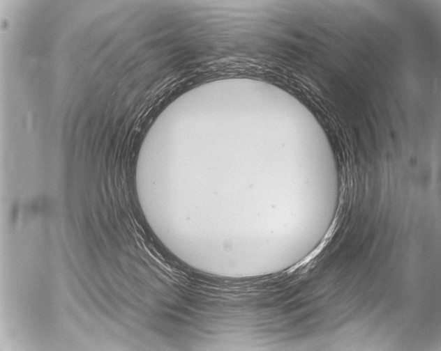 X0000058820186200509300925