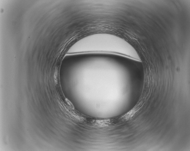 X0000058820188200509300925