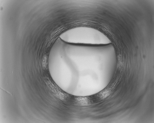 X0000058820189200509300925