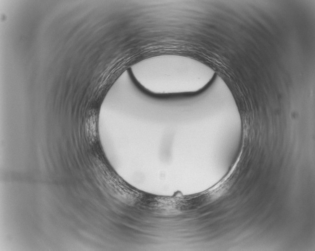 X0000058820190200509300925