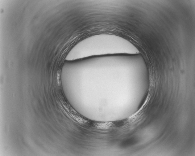 X0000058820191200509300925