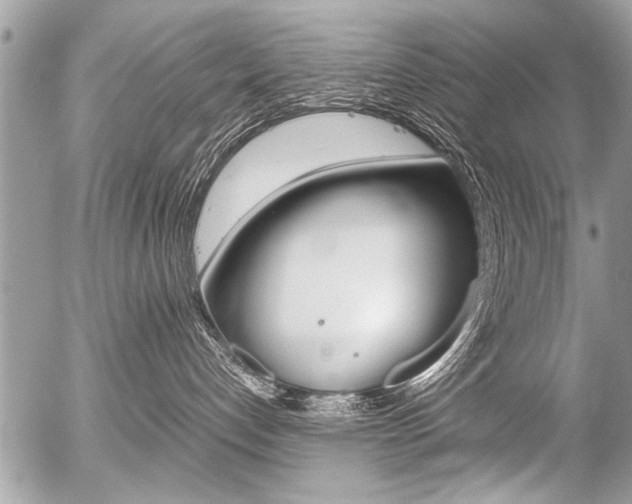 X0000058820192200509300925