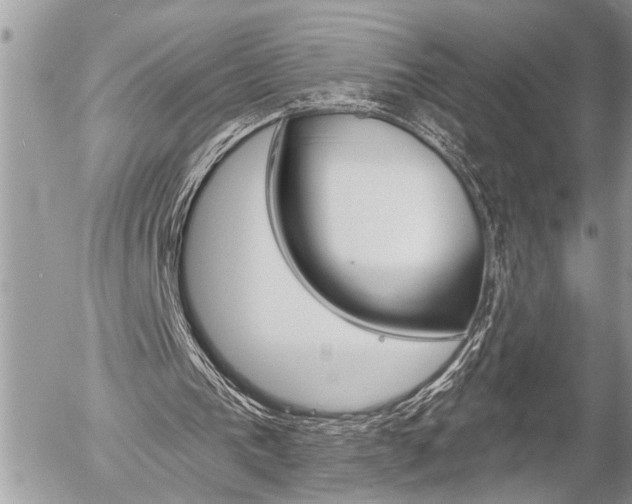 X0000058820193200509300924