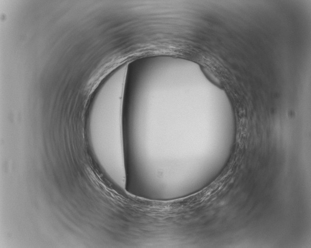 X0000058820194200509300924