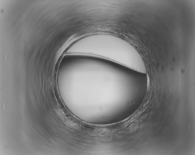 X0000058820195200509300924