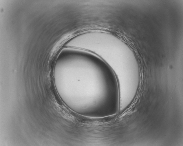 X0000058820197200509300924