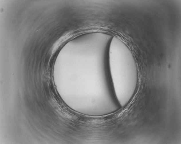 X0000058820198200509300924