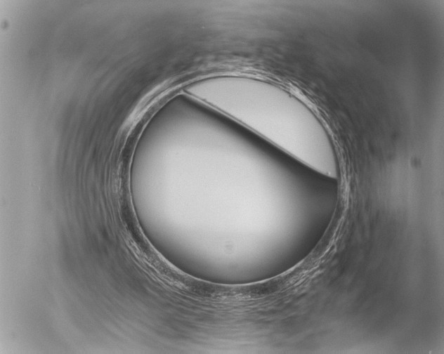 X0000058820199200509300924