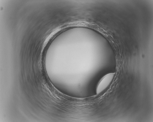 X0000058820200200509300924