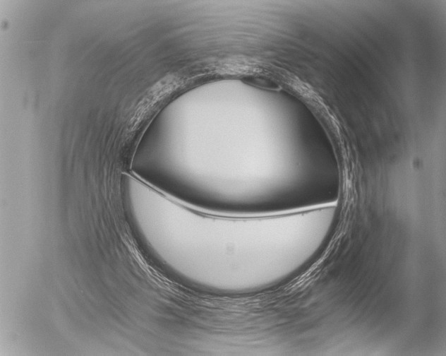 X0000058820201200509300924