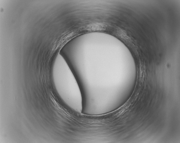 X0000058820202200509300924