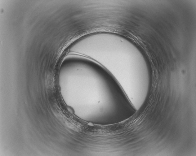 X0000058820204200509300924