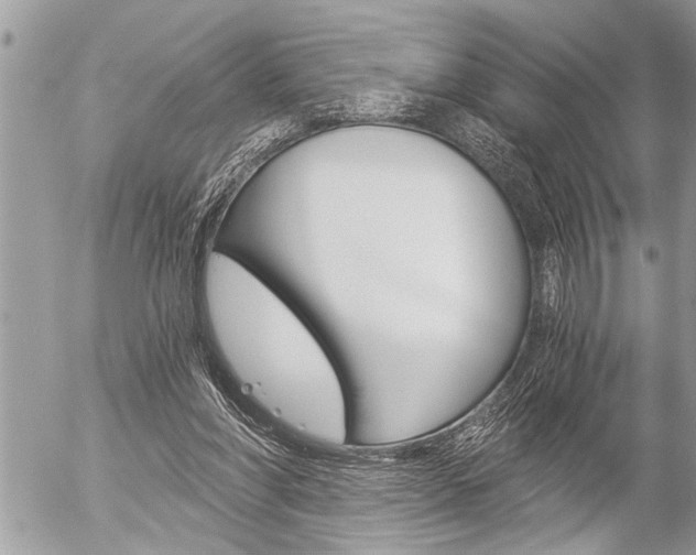 X0000058820206200509300924