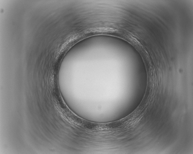 X0000058820207200509300924