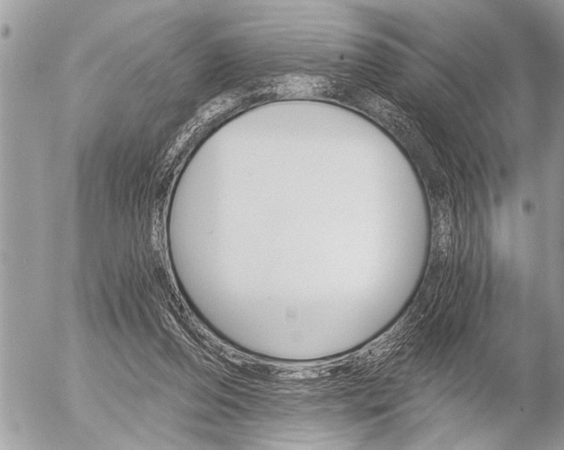 X0000058820208200509300924