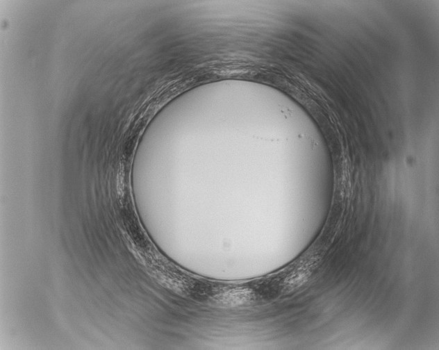 X0000058820210200509300924