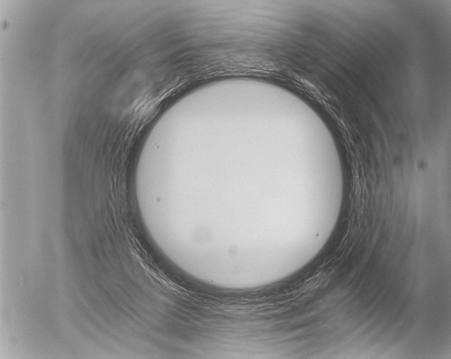 X0000058820211200509300924