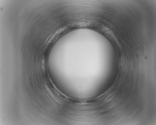 X0000058820212200509300924