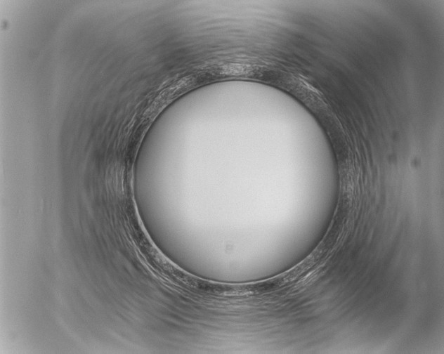 X0000058820213200509300924