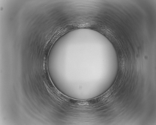 X0000058820214200509300924