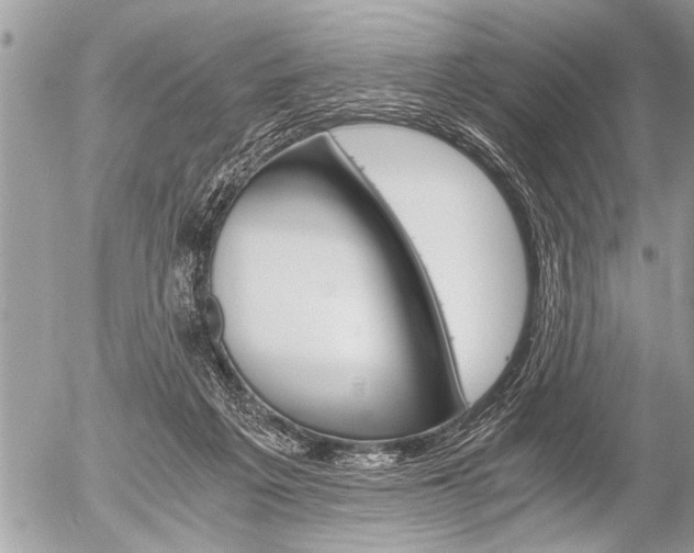 X0000058820217200509300924