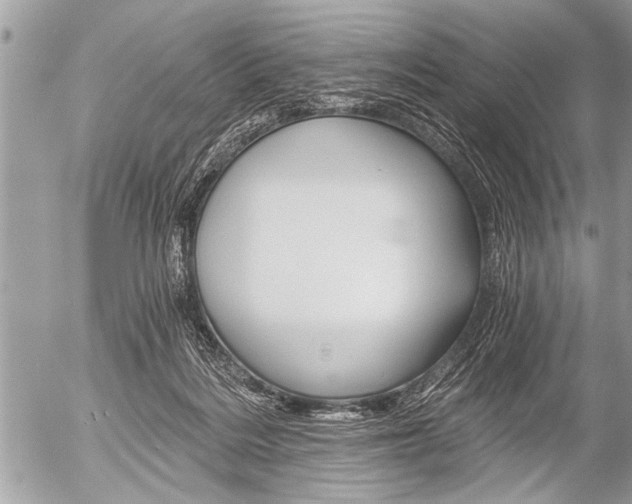 X0000058820220200509300924