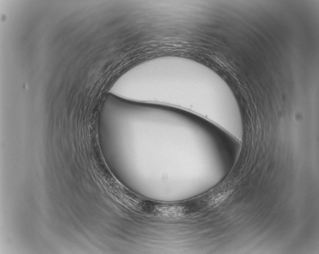 X0000058820221200509300924