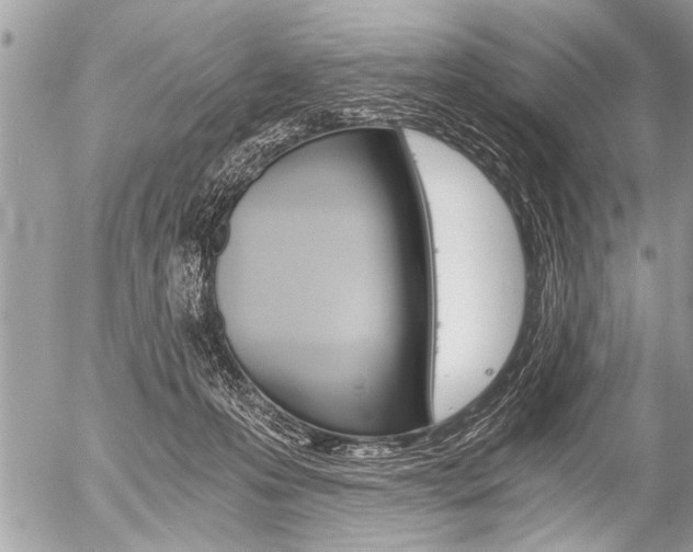 X0000058820223200509300924