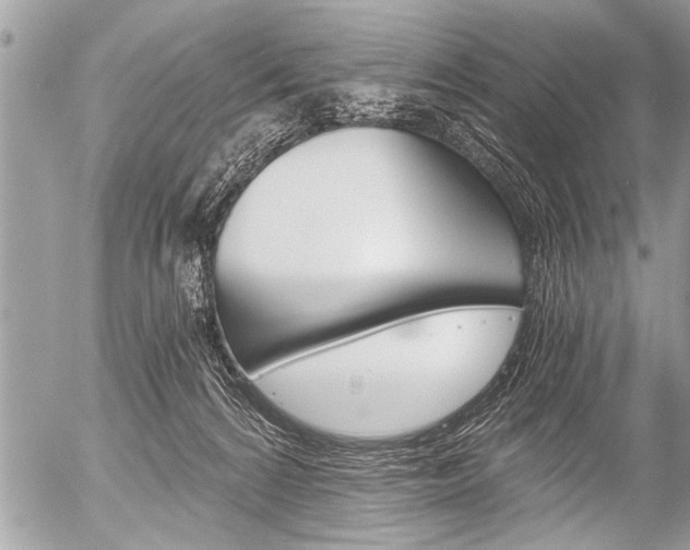 X0000058820224200509300924