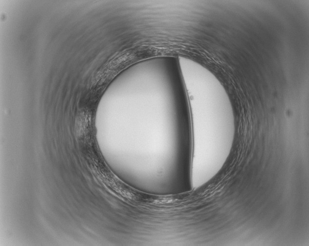 X0000058820225200509300923