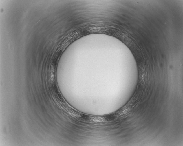 X0000058820226200509300923