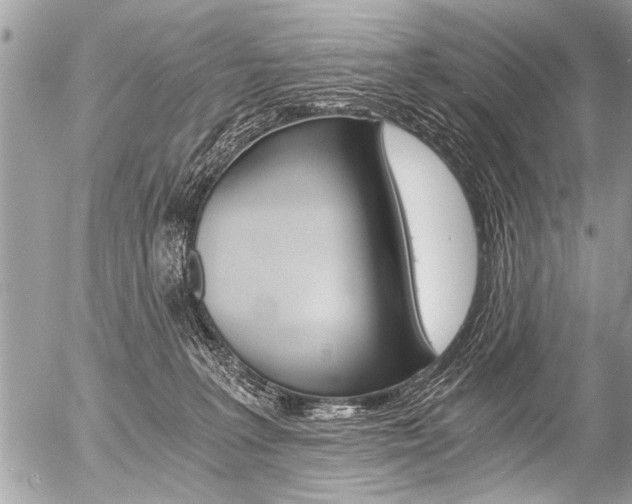 X0000058820227200509300923