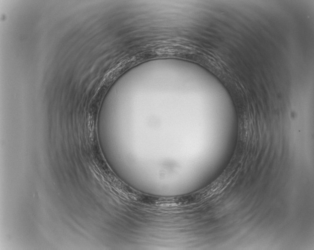 X0000058820228200509300923