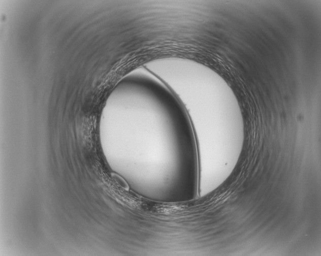 X0000058820229200509300923