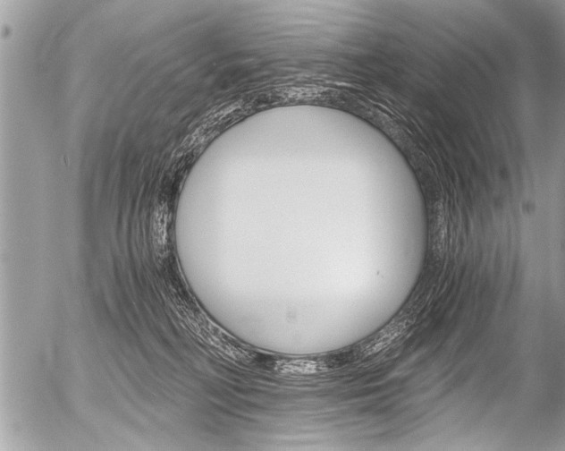 X0000058820230200509300923