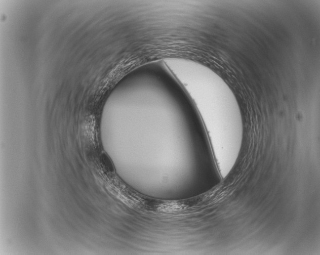 X0000058820231200509300923