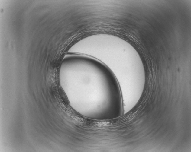 X0000058820233200509300923