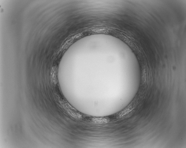 X0000058820234200509300923