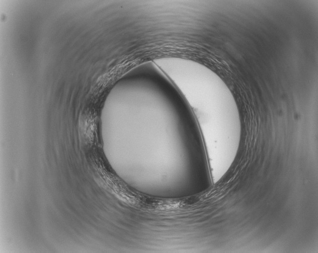 X0000058820235200509300923