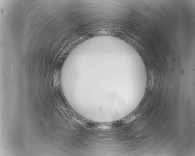 X0000058820236200509300923