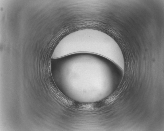 X0000058820237200509300923