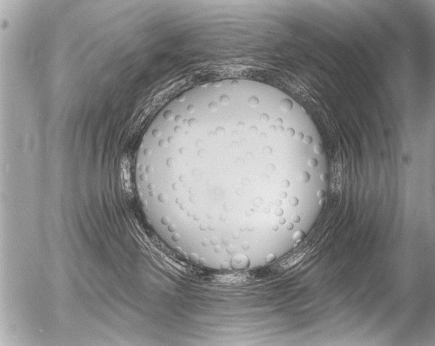 X0000058820238200509300923